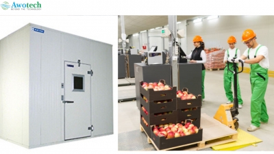 cold room for fruits and vegetables